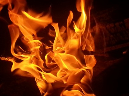 campfire_fire_burning_214817